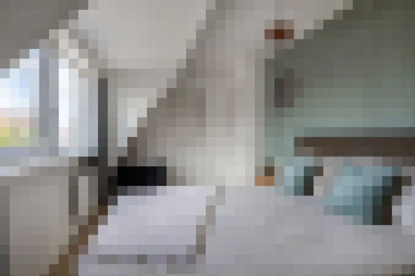Maria Louisestraat 8 Sneek thumbnail 33