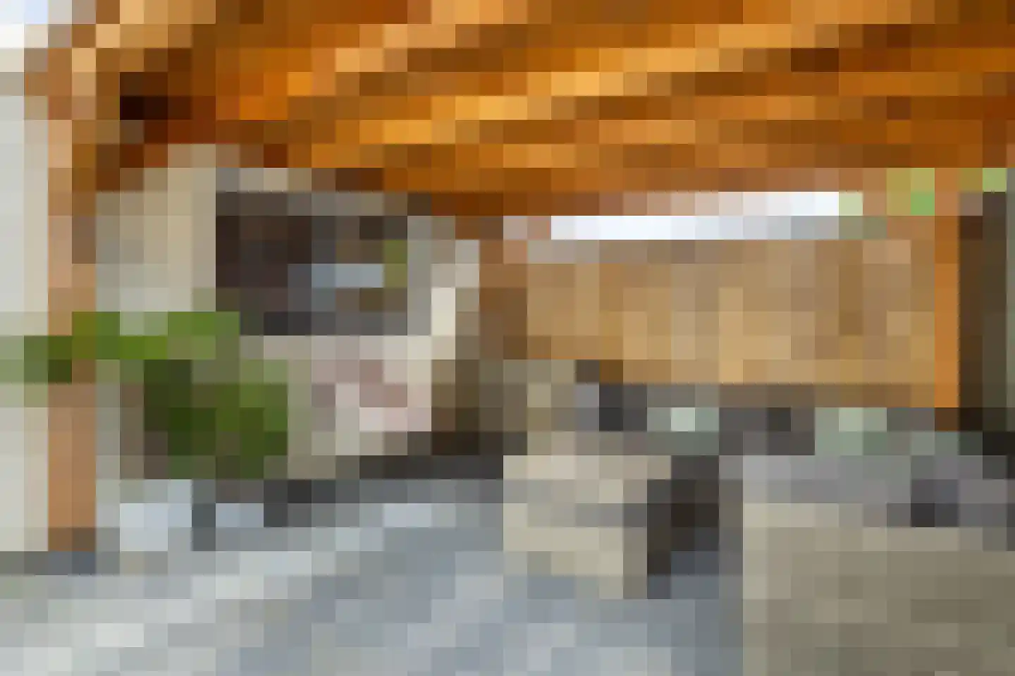 Maria Louisestraat 8 Sneek thumbnail 43