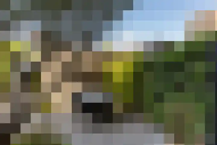 Maria Montessorilaan 1 F Dordrecht thumbnail 13