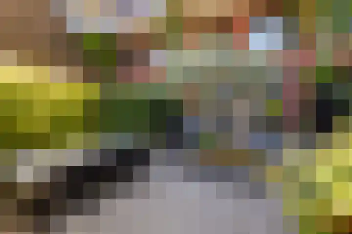 Maria Montessorilaan 1 F Dordrecht thumbnail 14