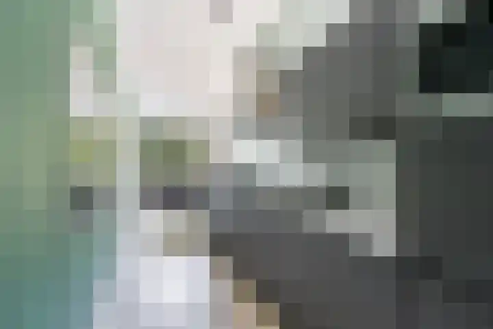 Maria Montessorilaan 1 F Dordrecht thumbnail 17