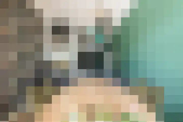 Maria Montessorilaan 1 F Dordrecht thumbnail 21