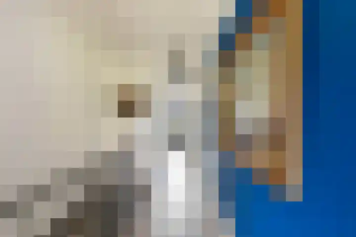 Maria Montessorilaan 1 F Dordrecht thumbnail 25