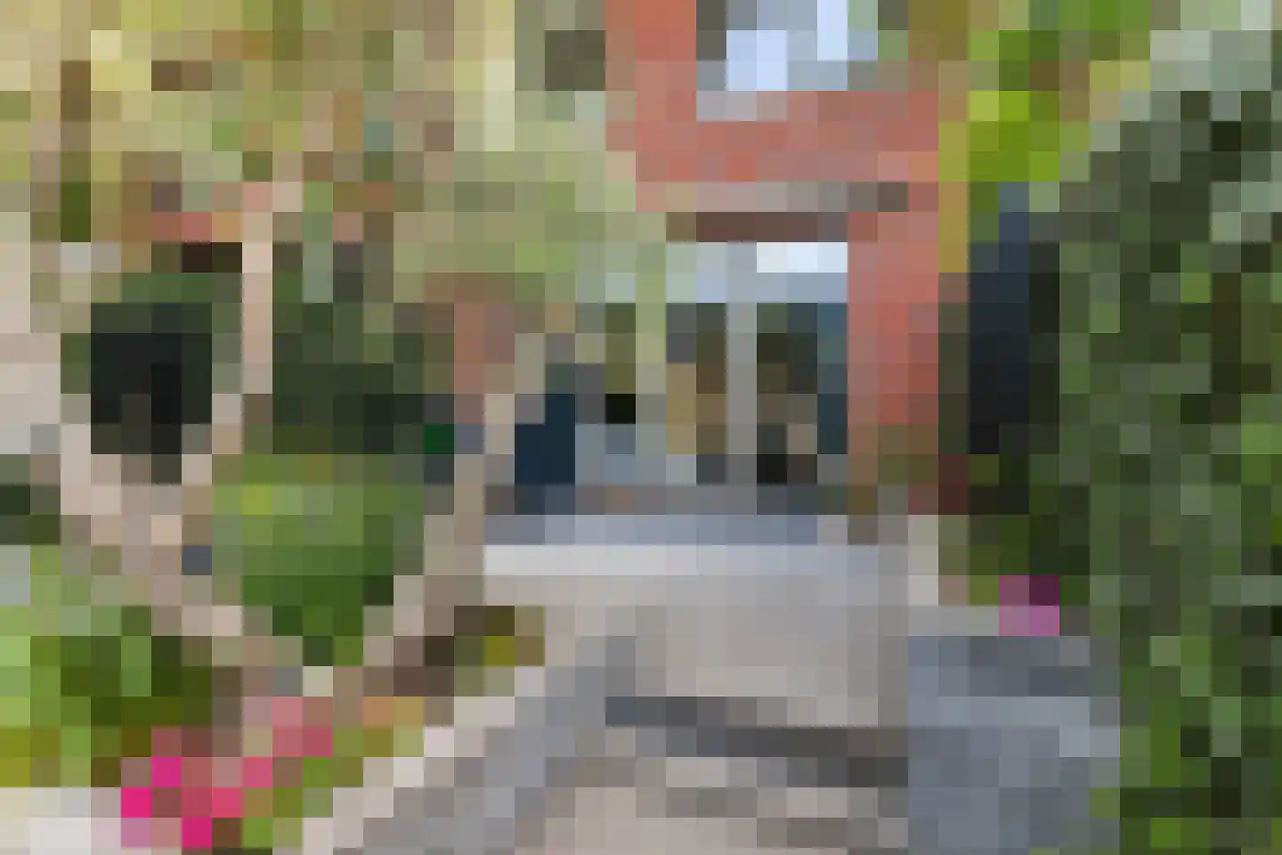 Maria Montessorilaan 1 F Dordrecht thumbnail 38