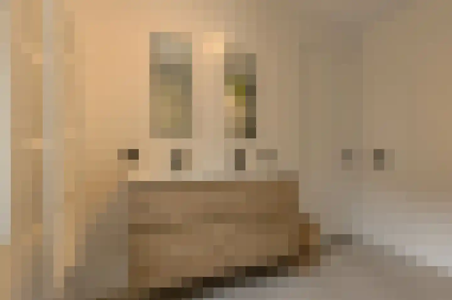 Maria Montessoristraat 22 Breda thumbnail 23
