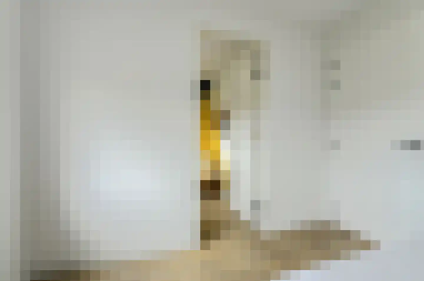Maria Montessoristraat 22 Breda thumbnail 28
