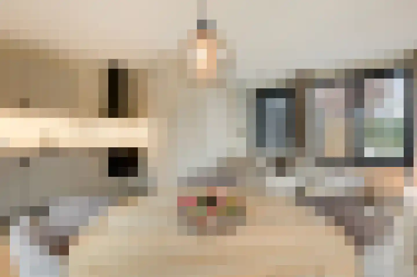 Maria Montessoristraat 26 Doetinchem thumbnail 17