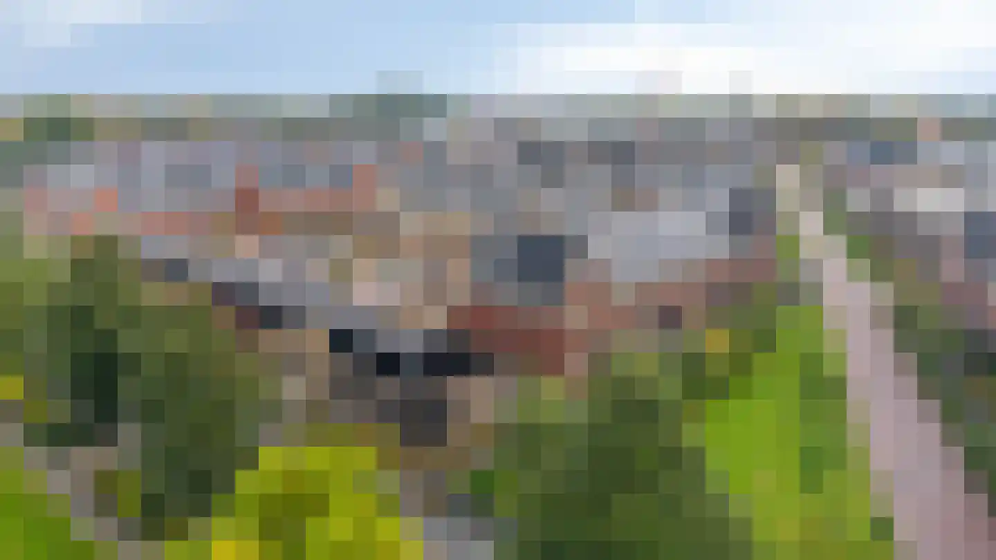 Maria Montessoristraat 26 Doetinchem thumbnail 41