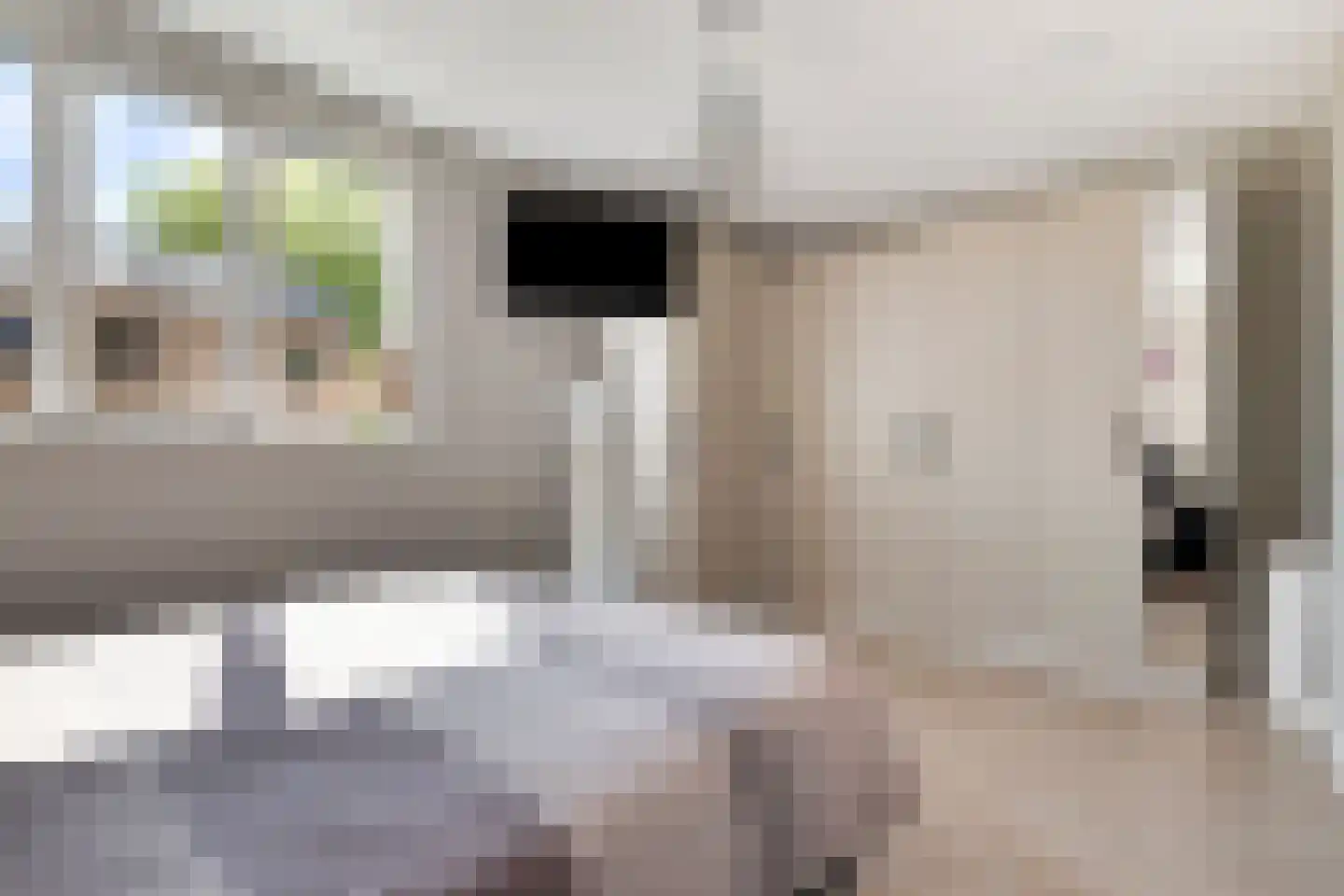 Maria Montessoristraat 3 Breda thumbnail 27
