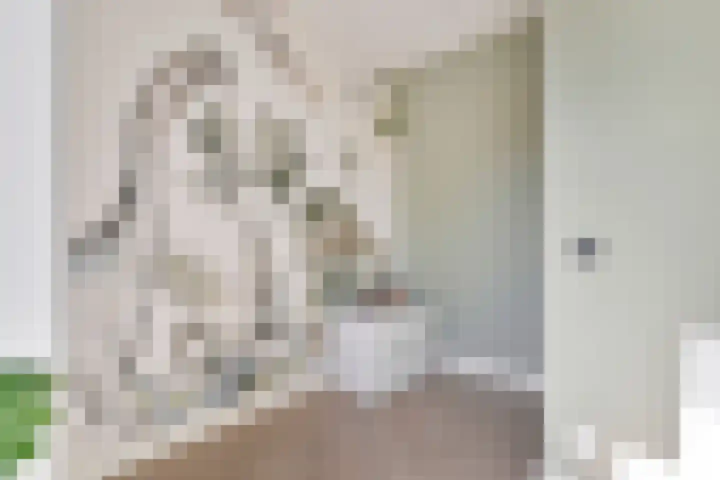 Maria Montessoristraat 3 Breda thumbnail 39