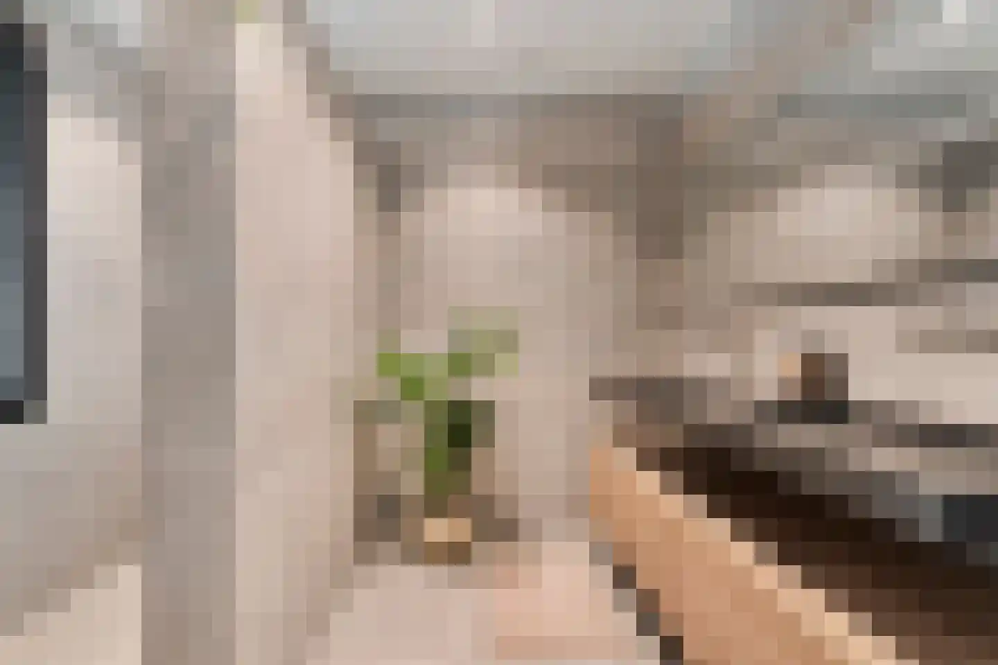 Maria Montessoristraat 3 Breda thumbnail 5