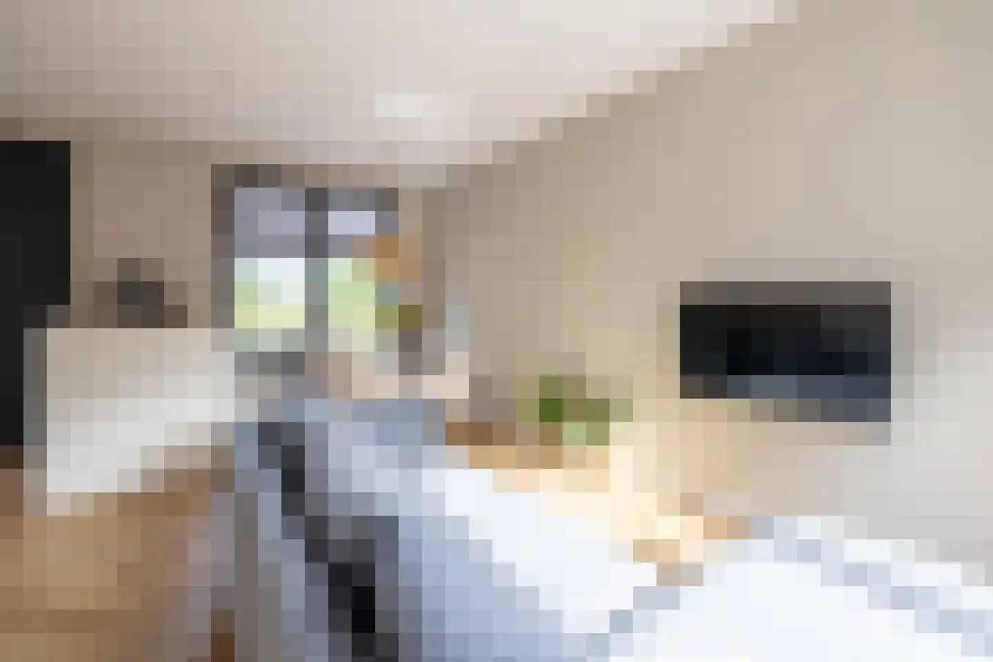 Maria Montessoristraat 30 Doetinchem thumbnail 6