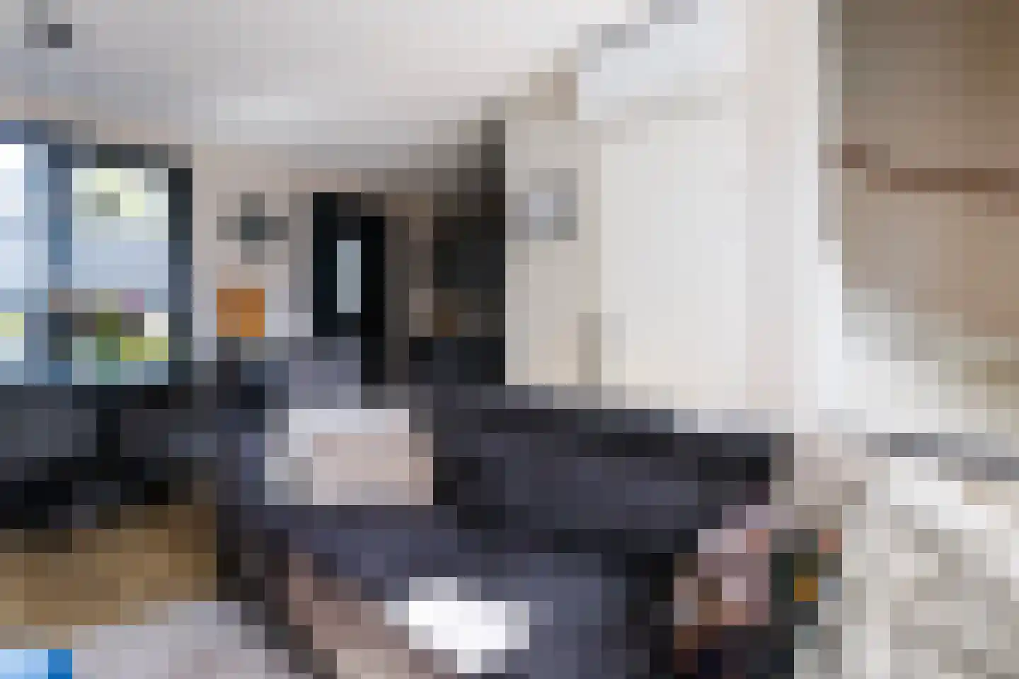 Maria Montessoristraat 32 Doetinchem thumbnail 4