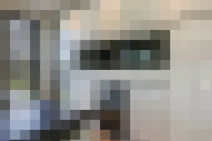 Maria Montessoristraat 39 Doetinchem thumbnail 35