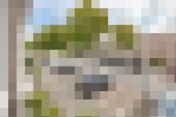 Maria Rutgerslaan 11 Hoofddorp thumbnail 37