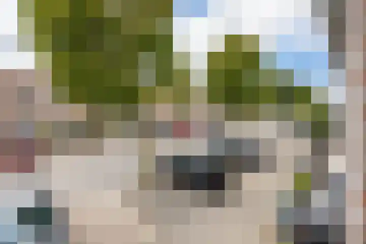 Maria Rutgerslaan 11 Hoofddorp thumbnail 38