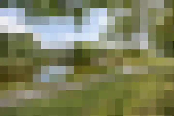 Maria Rutgerslaan 11 Hoofddorp thumbnail 40