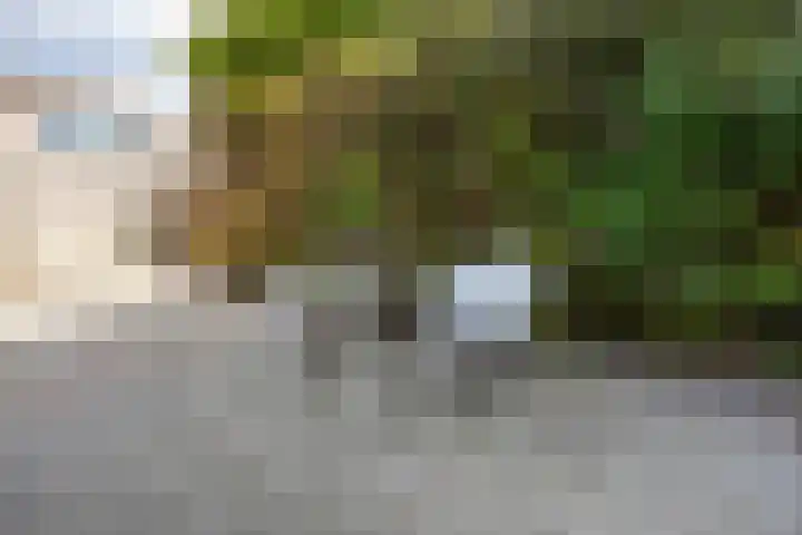 Maria Rutgerslaan 11 Hoofddorp thumbnail 7