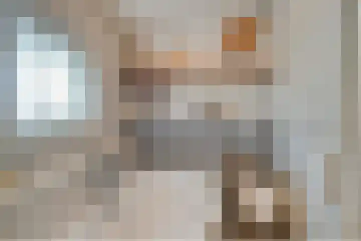 Maria Rutgerslaan 17 Hoofddorp thumbnail 28