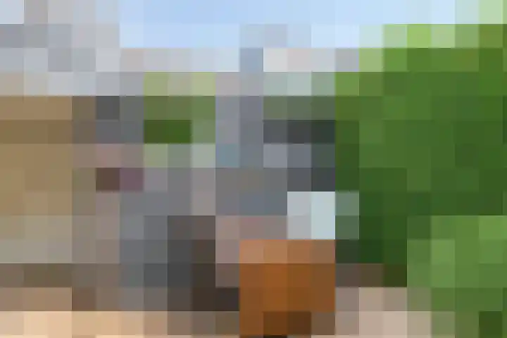 Maria Rutgerslaan 17 Hoofddorp thumbnail 39