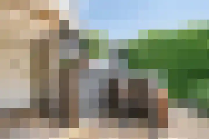 Maria Rutgerslaan 17 Hoofddorp thumbnail 44