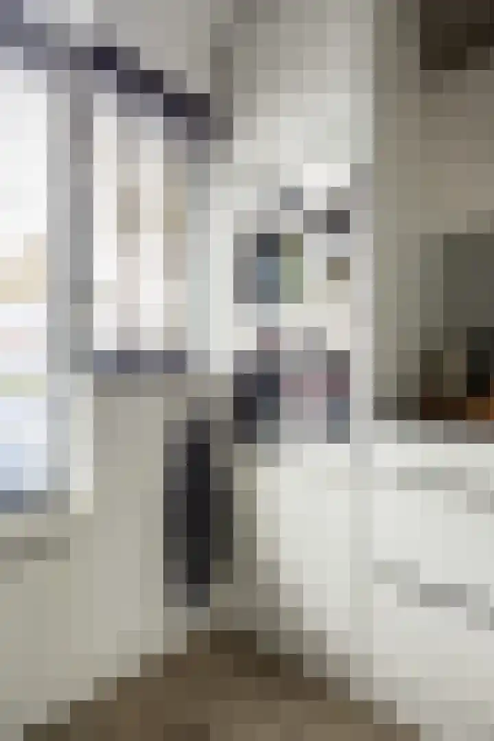 Maria Rutgerslaan 33 Hoofddorp thumbnail 18