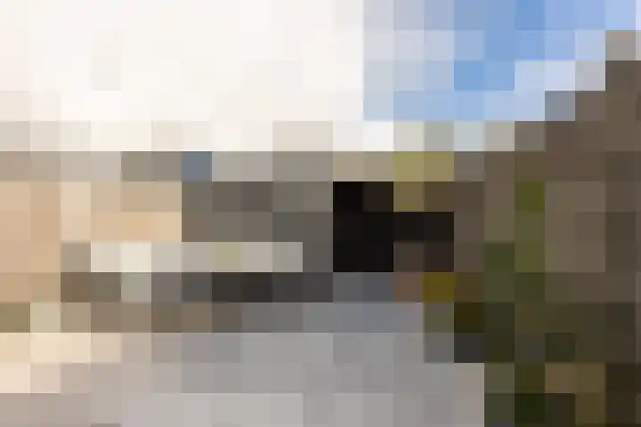 Maria Rutgerslaan 33 Hoofddorp thumbnail 24