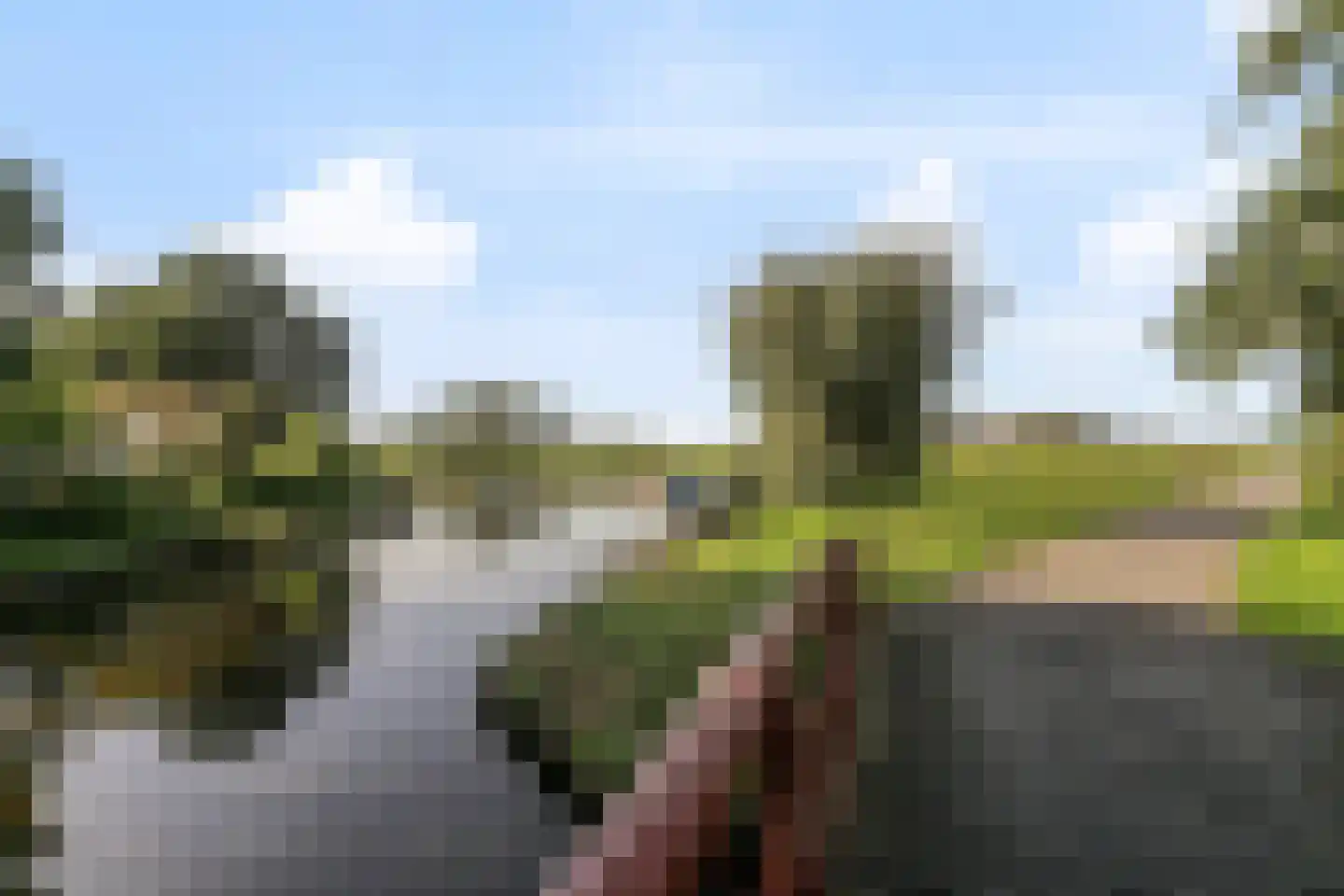 Maria Rutgersweg 32 Leiden thumbnail 16