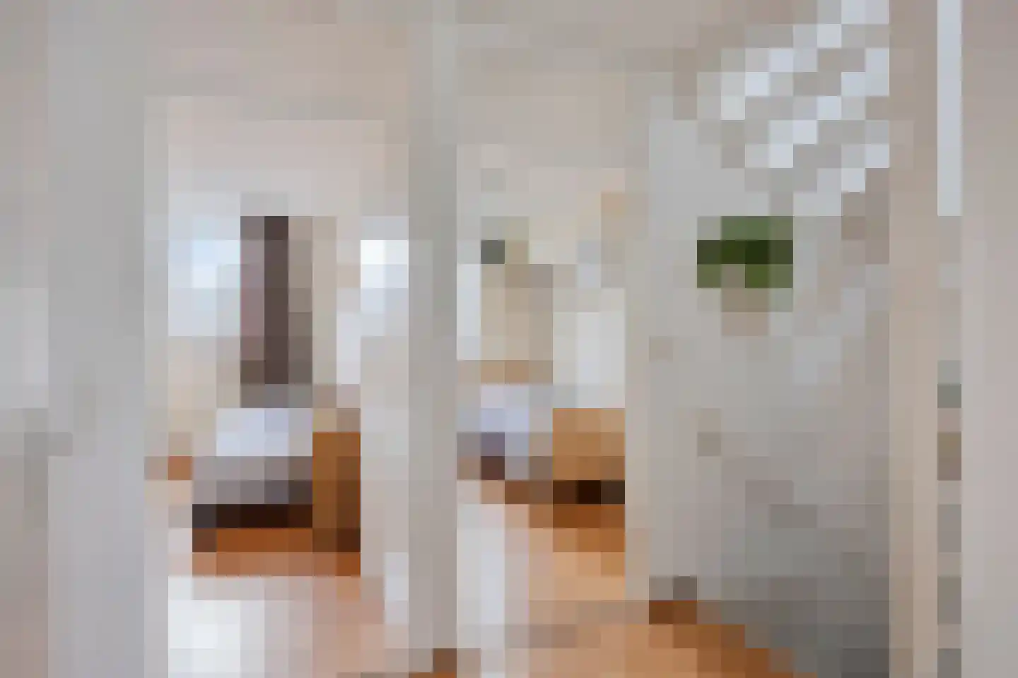 Maria Rutgersweg 32 Leiden thumbnail 18