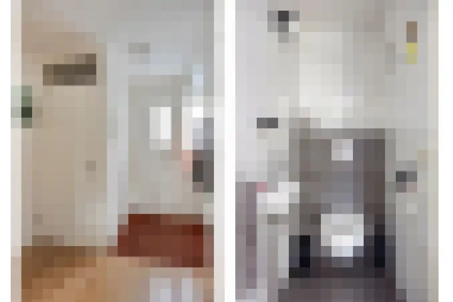 Maria Rutgersweg 32 Leiden thumbnail 5