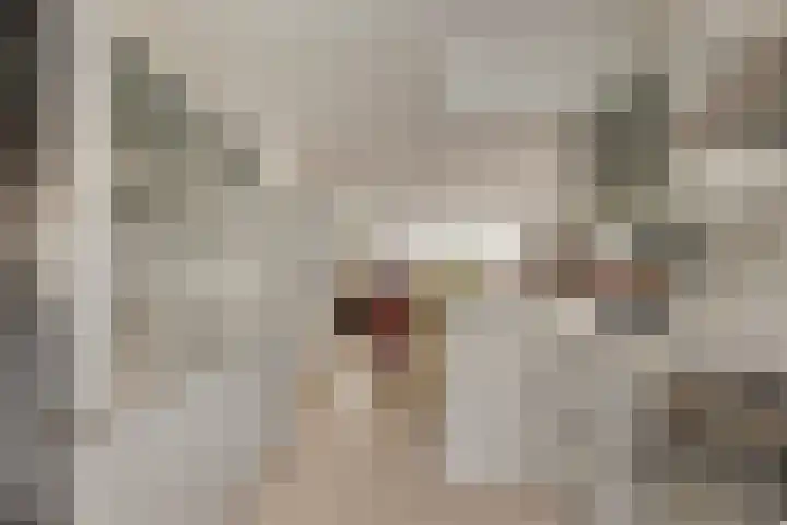 Maria Rutgersweg 39 Leiden thumbnail 22