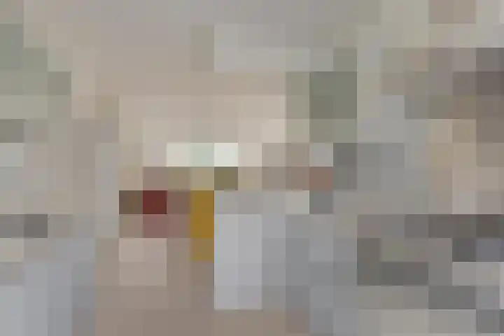Maria Rutgersweg 39 Leiden thumbnail 23