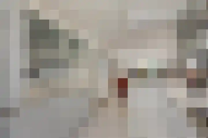 Maria Rutgersweg 39 Leiden thumbnail 24