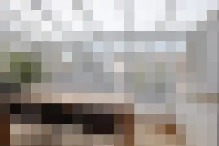 Maria Rutgersweg 57 Leiden thumbnail 10