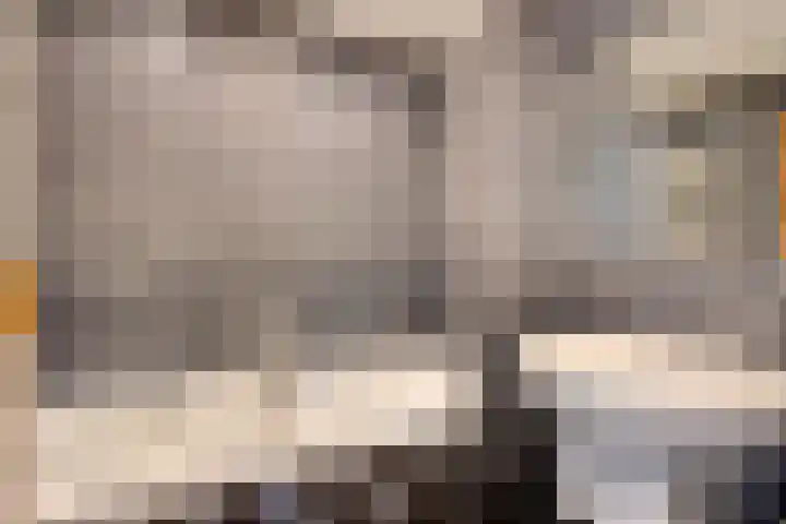 Maria Rutgersweg 57 Leiden thumbnail 16