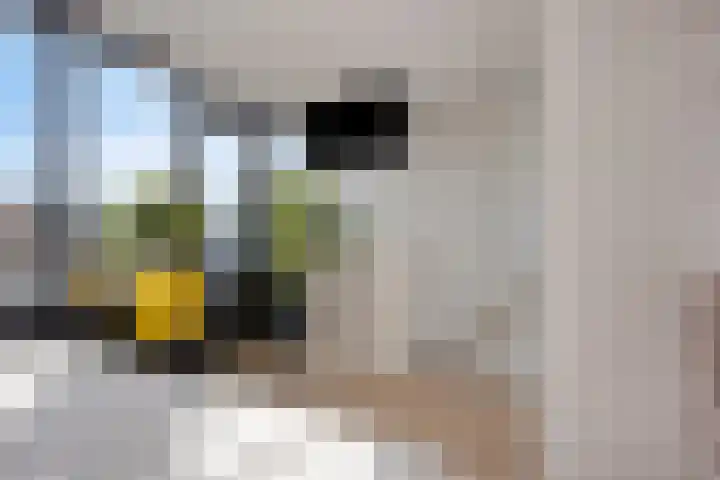 Maria Rutgersweg 57 Leiden thumbnail 19