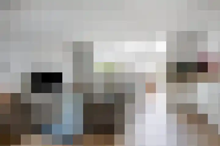 Maria Rutgersweg 57 Leiden thumbnail 6