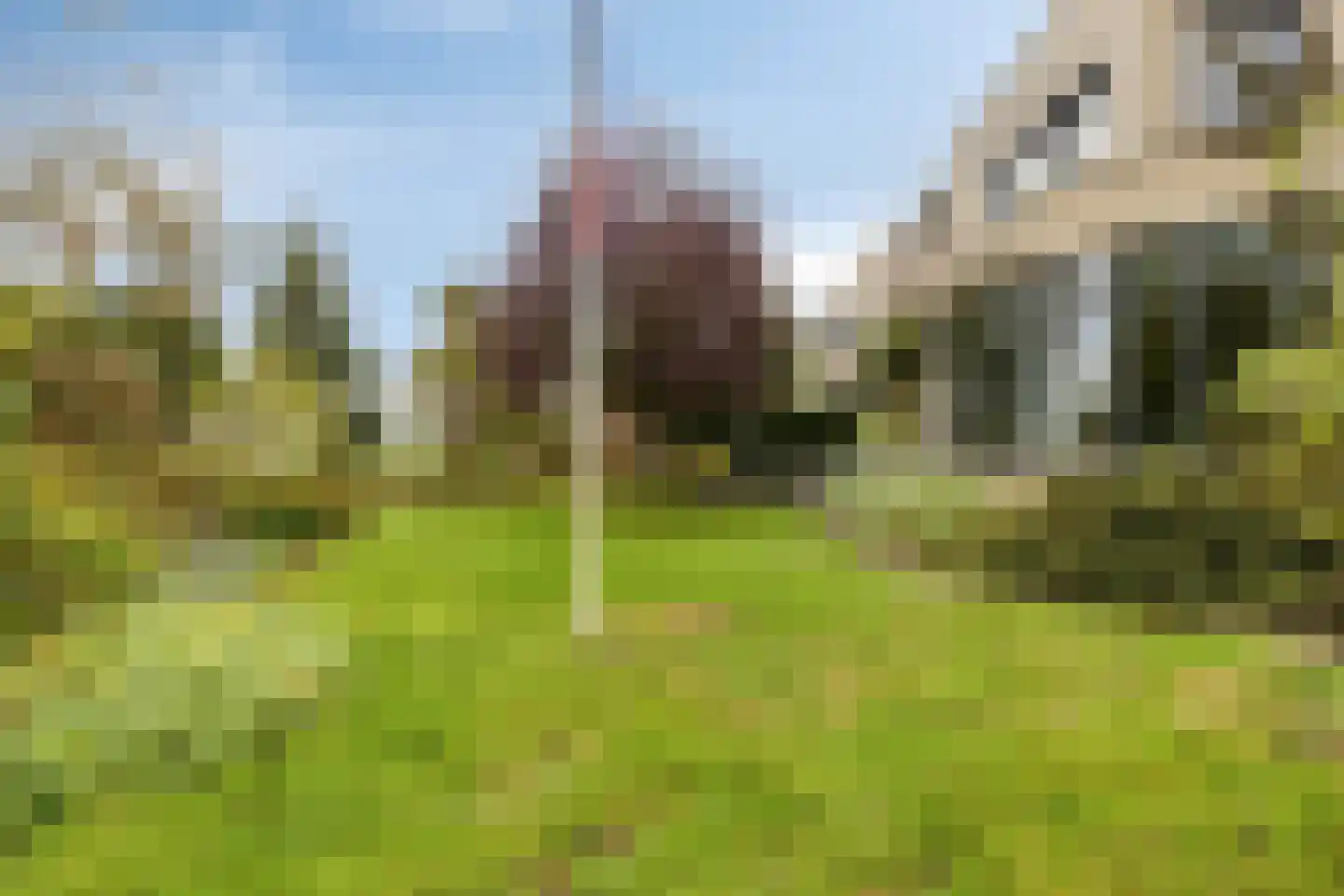 Maria Rutgersweg 60 Leiden thumbnail 16