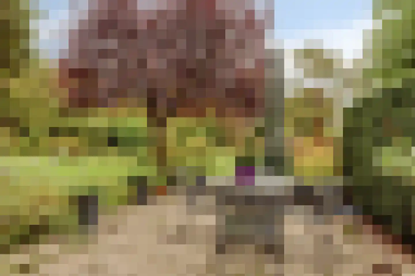 Maria Rutgersweg 60 Leiden thumbnail 19
