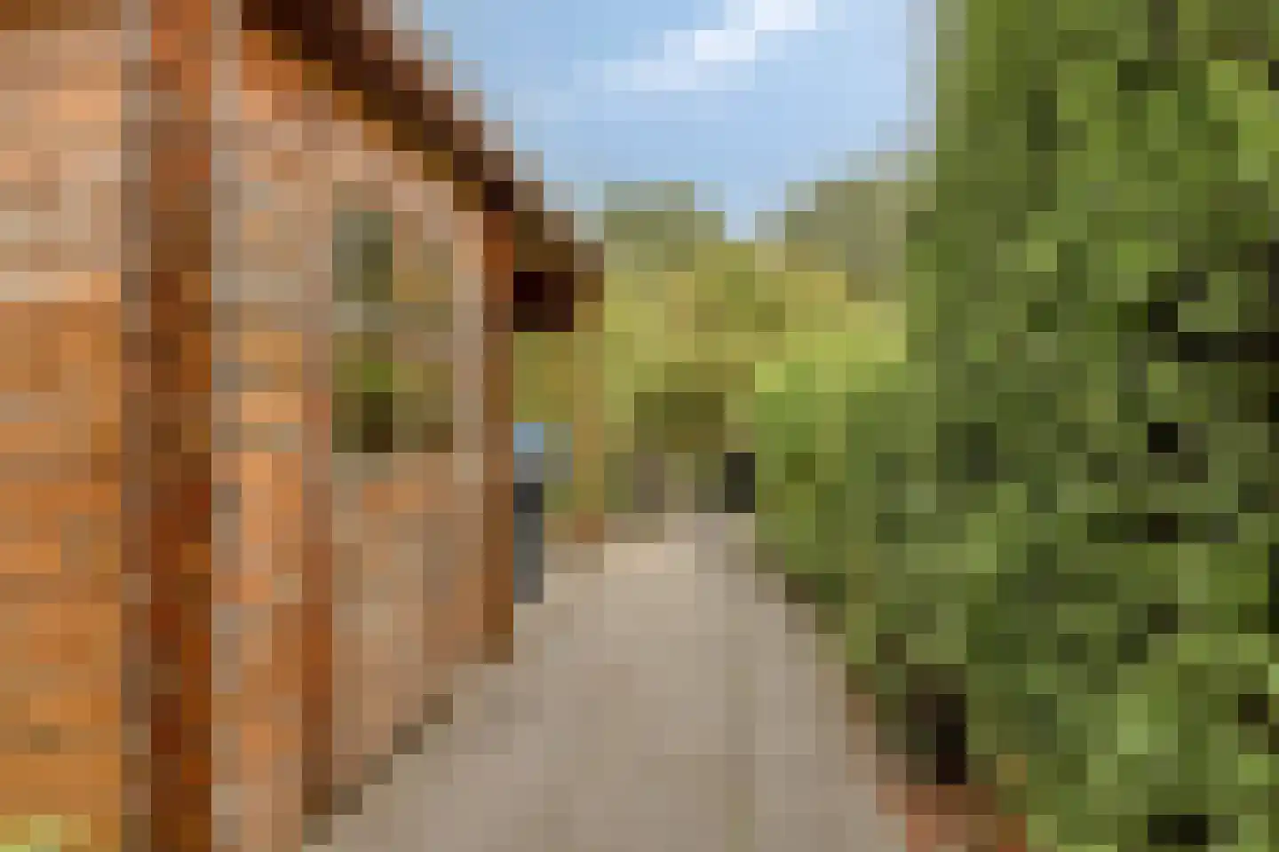 Maria Rutgersweg 60 Leiden thumbnail 21