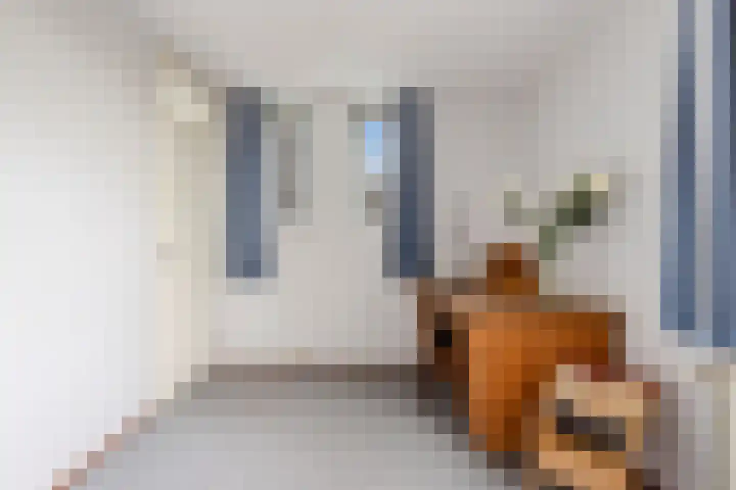 Maria Rutgersweg 60 Leiden thumbnail 35