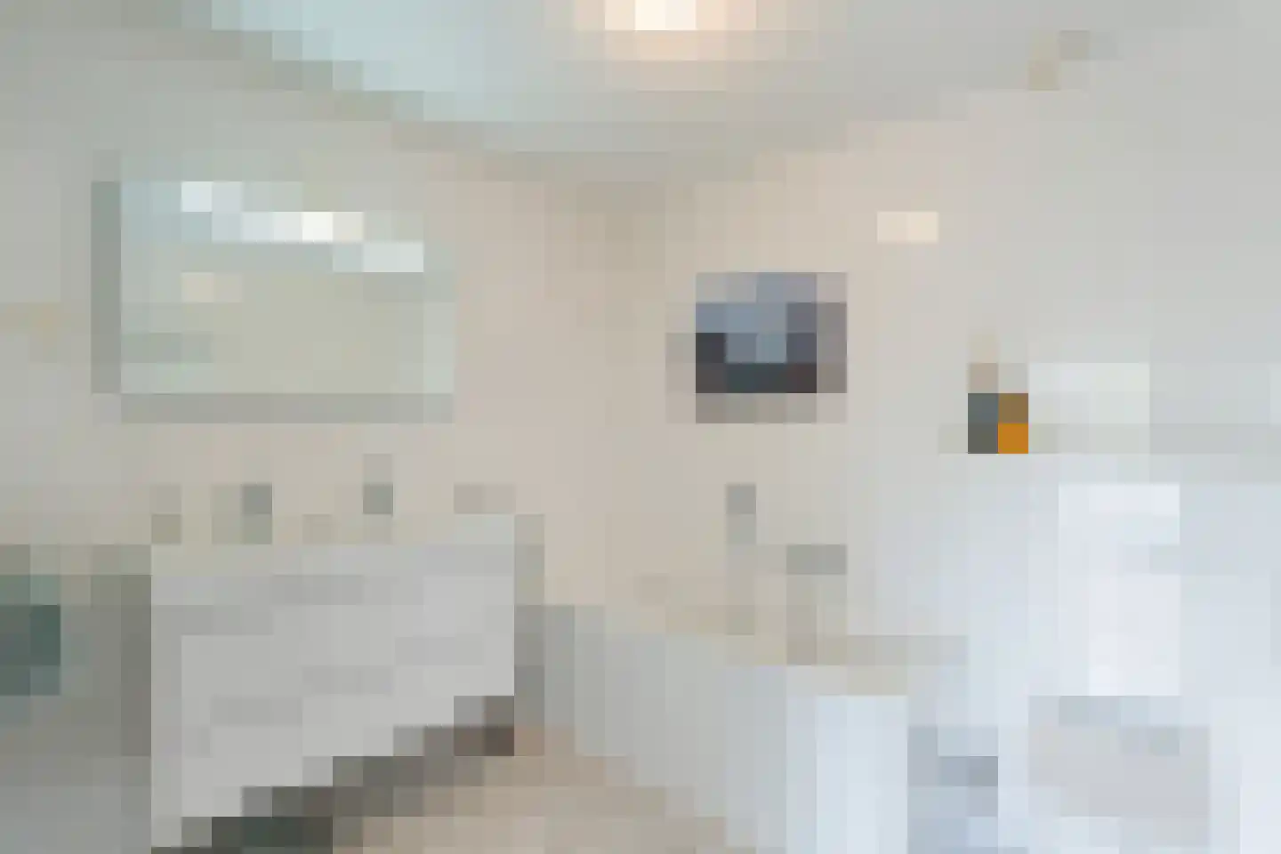 Maria Rutgersweg 62 Leiden thumbnail 35