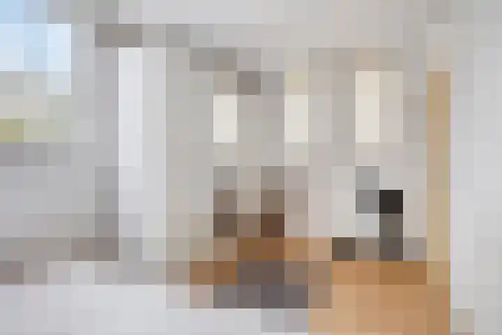 Maria Rutgersweg 94 Leiden thumbnail 22