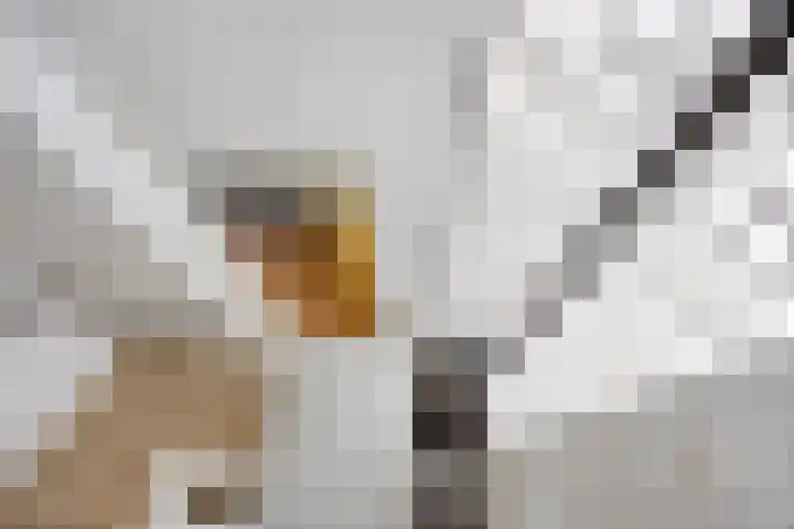 Maria Rutgersweg 94 Leiden thumbnail 26