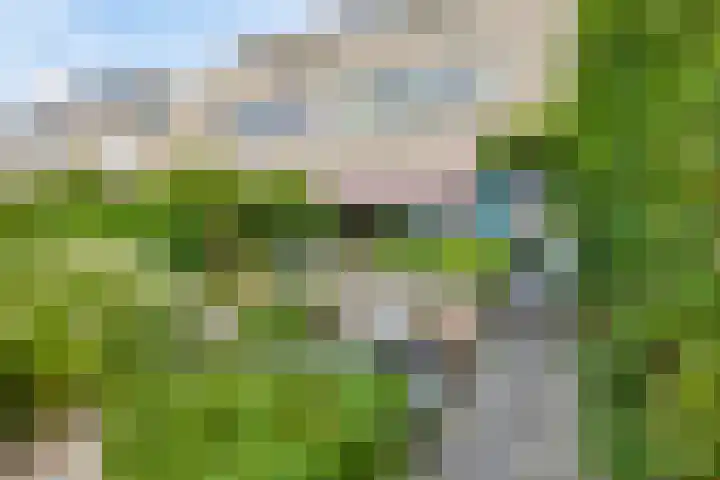 Maria Rutgersweg 94 Leiden thumbnail 34