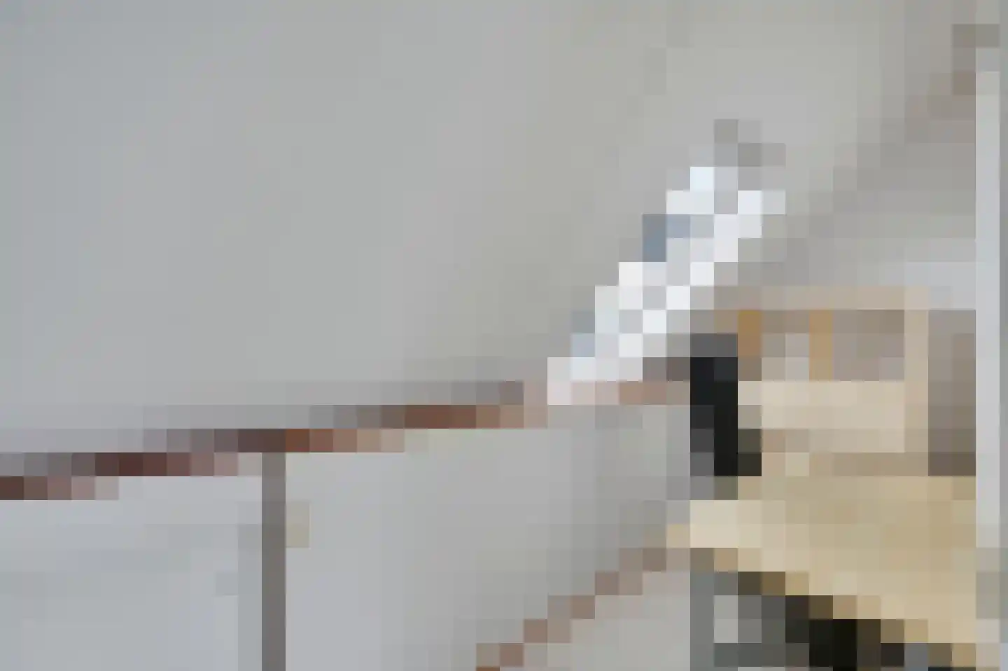 Maria Rutgersweg 99 Leiden thumbnail 38