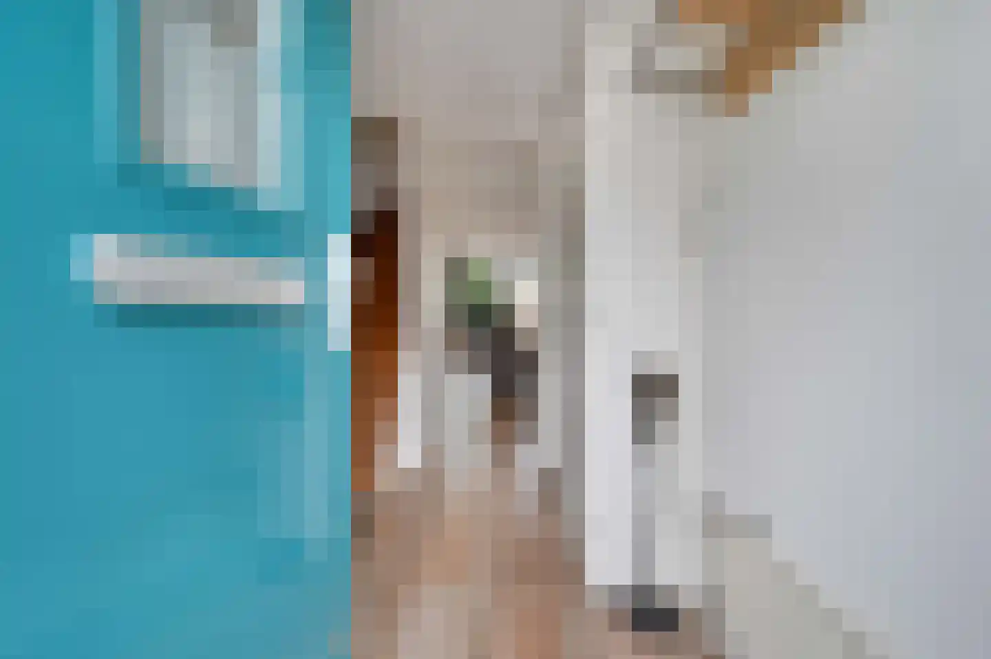 Maria Rutgersweg 99 Leiden thumbnail 8