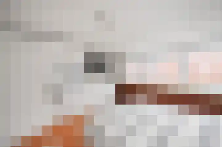 Maria Snelplantsoen 17 Amsterdam thumbnail 16