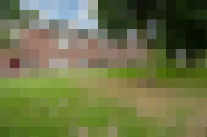Maria Snelplantsoen 17 Amsterdam thumbnail 26