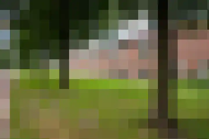 Maria Snelplantsoen 17 Amsterdam thumbnail 30